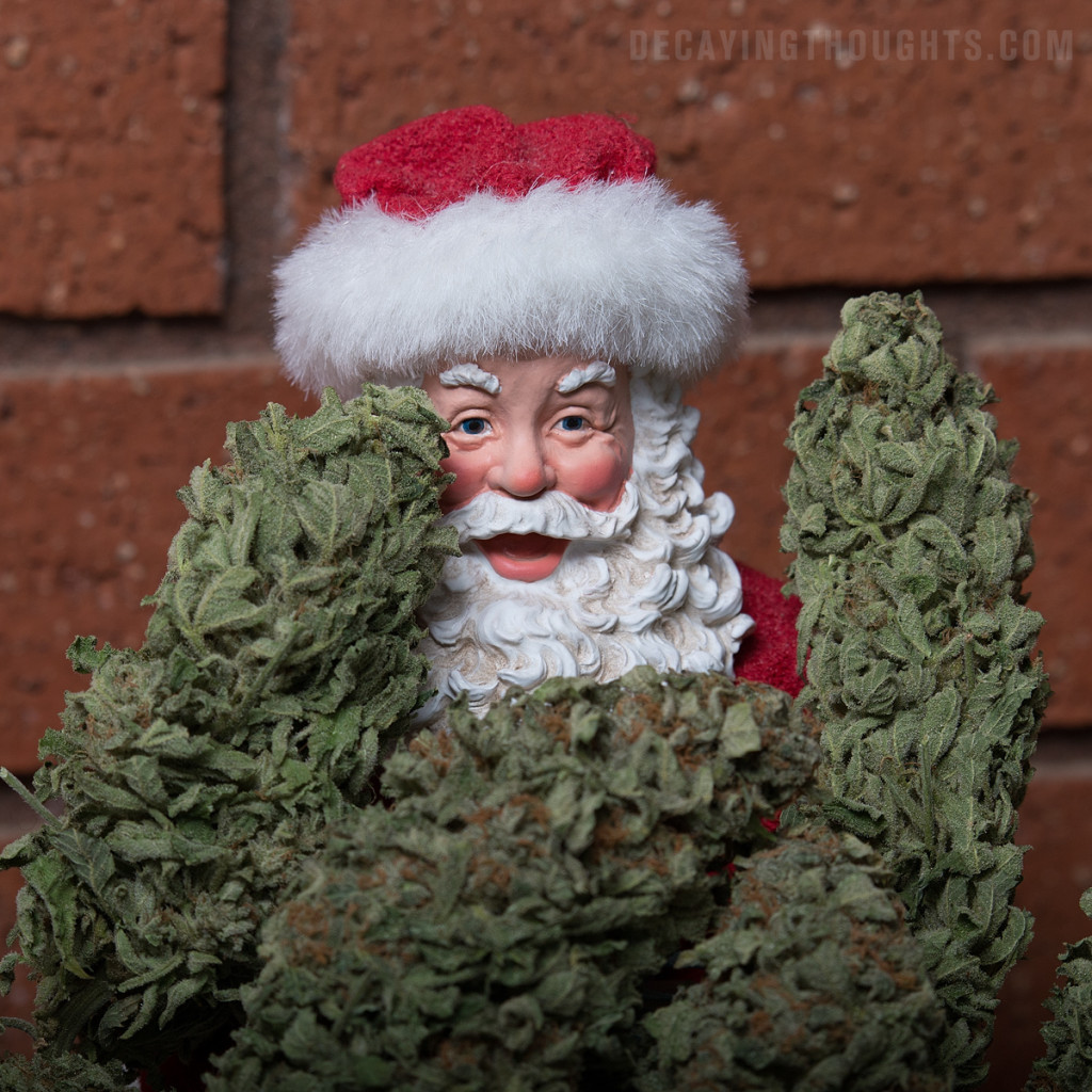 Santa hiding behind huge cannabis buds