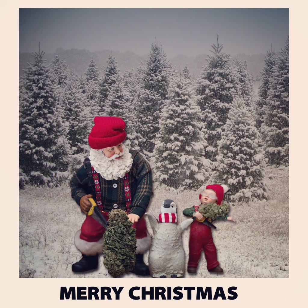 Santa cannabis trees Polaroid 