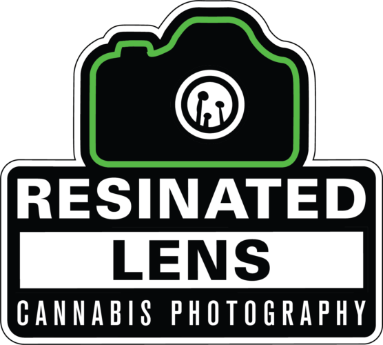 Resinated lens